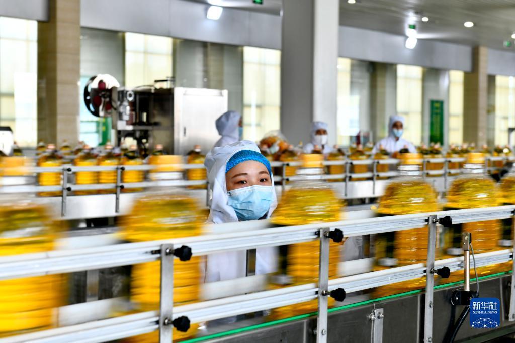 澳门一号所有网址